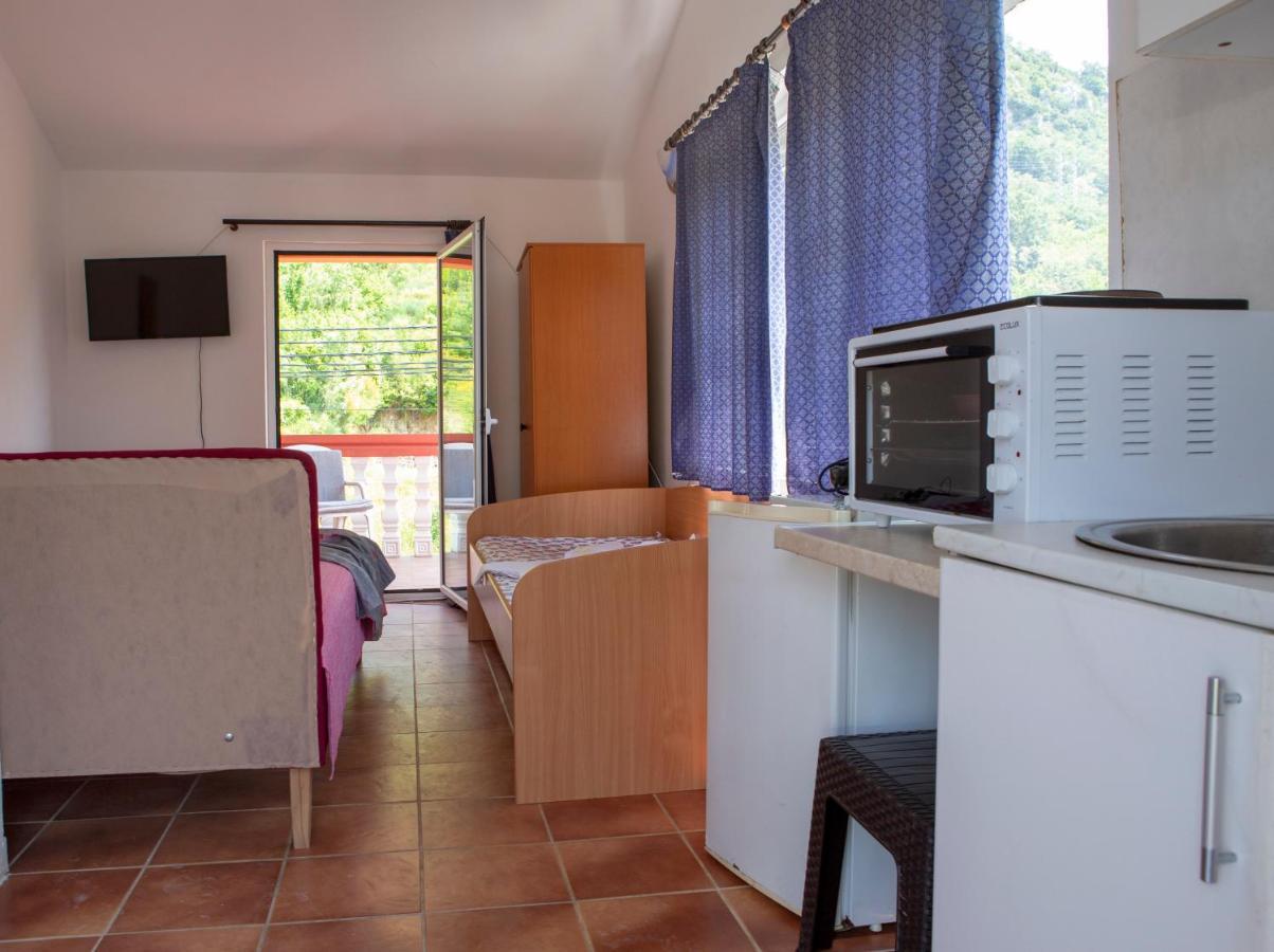 Family Apartments Vukcevic Canj Bagian luar foto